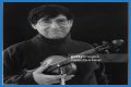 David Shapiro (musician)